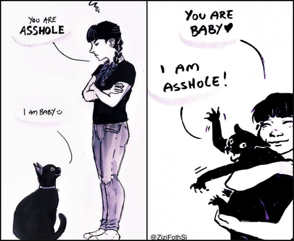 A close up of a book

Description automatically generated